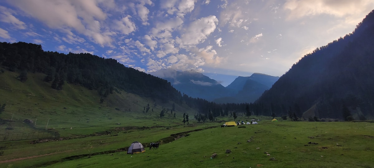 Alpine meadows in Kashmir