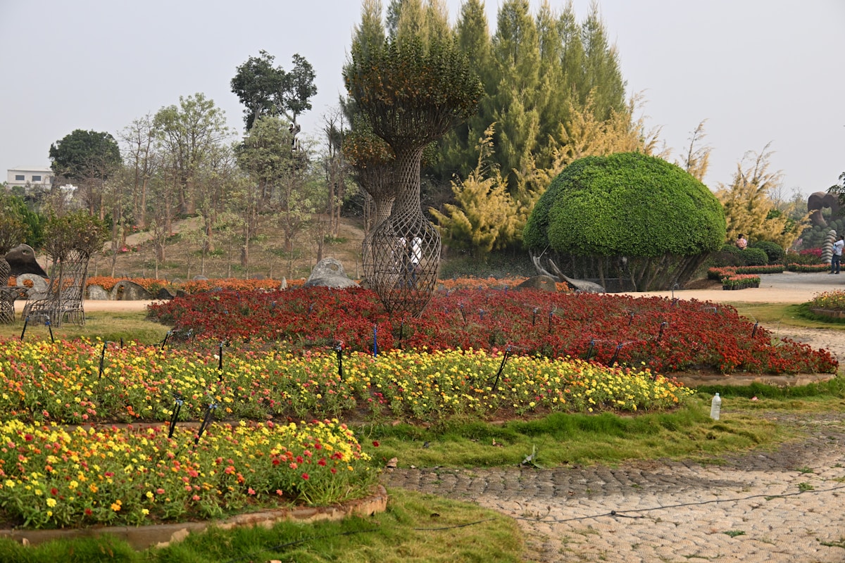 Heritage garden in Srinagar